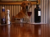 Jackson At Table